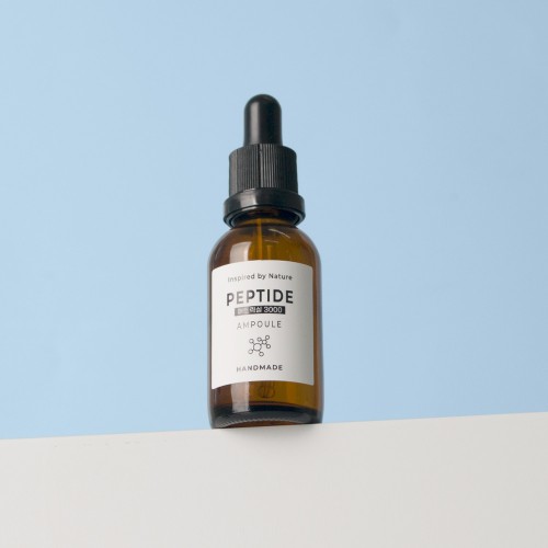 ��ǰ ������